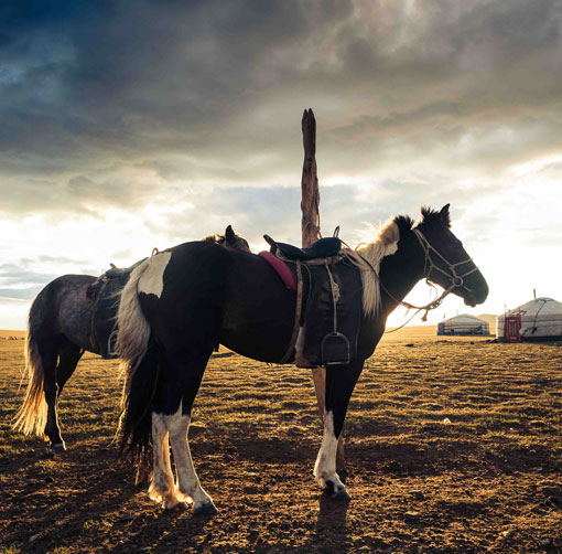 Eastern Mongolia