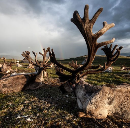 Northern Mongolia