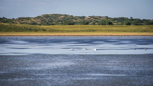 Ganga Lake Nature Reserve in Sukhbaatar
