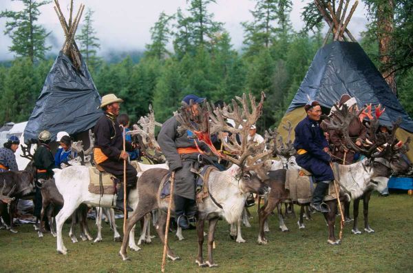 Reindeer Herders Tsaatan in Khuvsgul Province