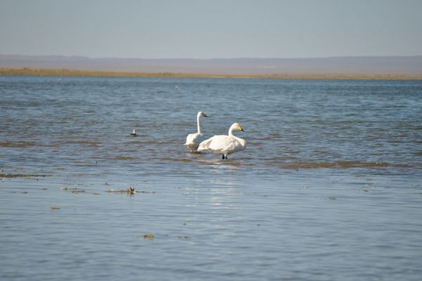 Buun Tsagaan Lake Bayankhongor