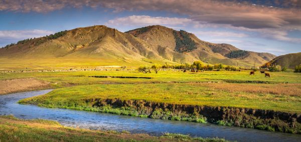 Buural Mountain Burial Mound in Darkhan-Uul