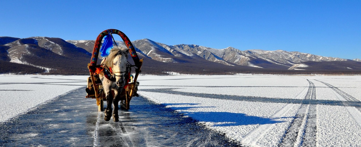 Ice & Horse