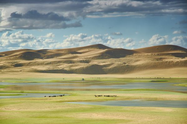 Mongolische Sanddünen in Gobi Altai