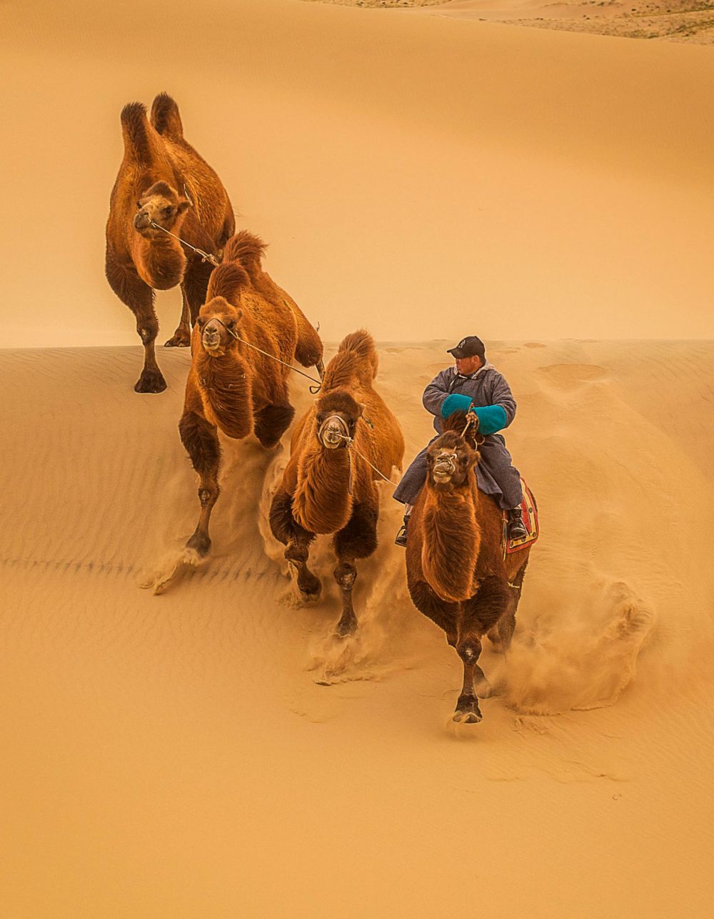 Gobi Desert Tour 
