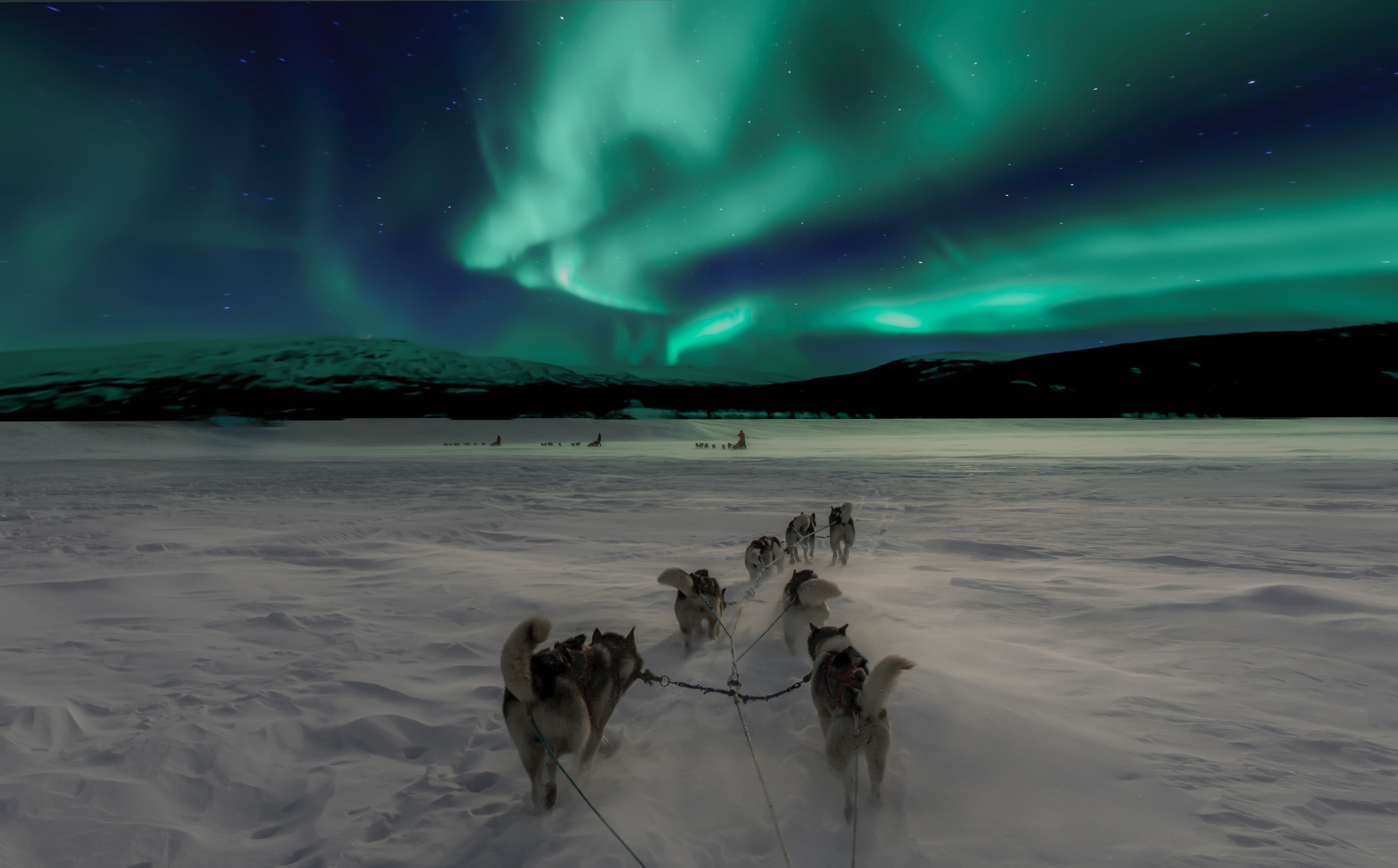 Dog sledging in Mongolia