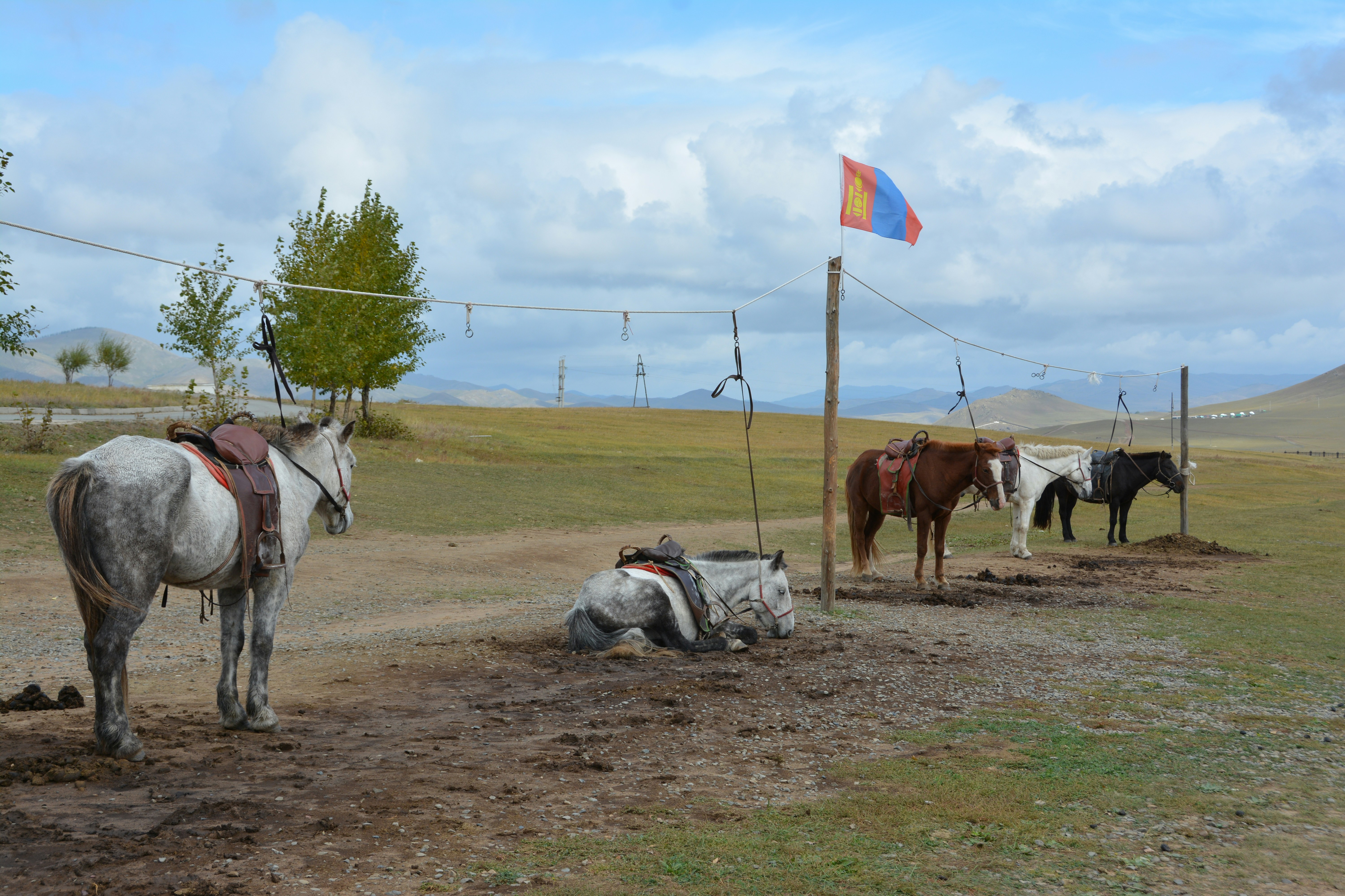Whimsical illustration of preparing for a horse racing adventure in Mongolia