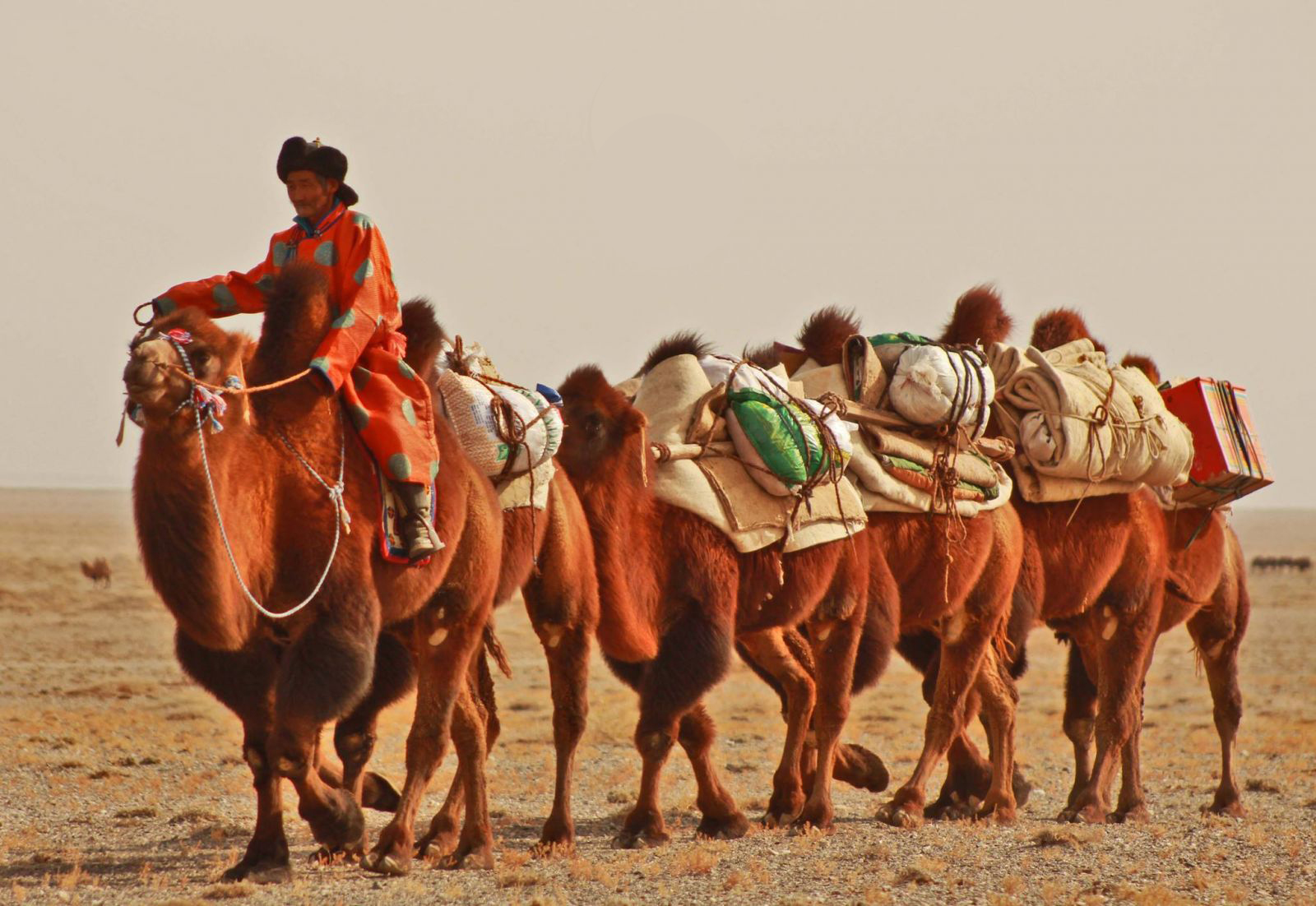 Nomadic Culture - Escape To Mongolia