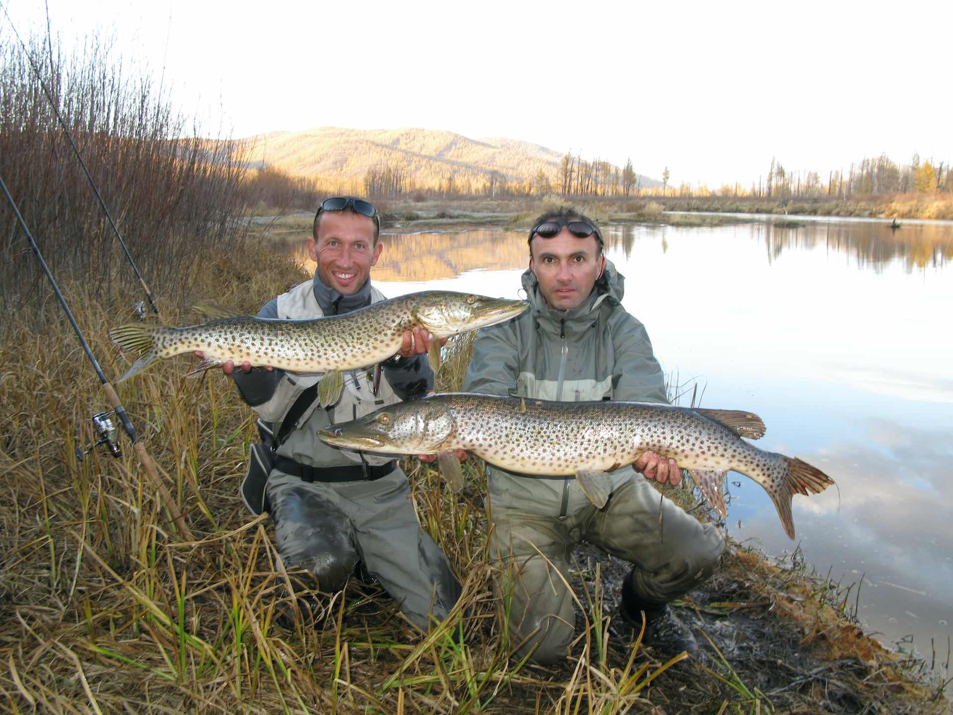 Amur Pike fishing in Mongolia