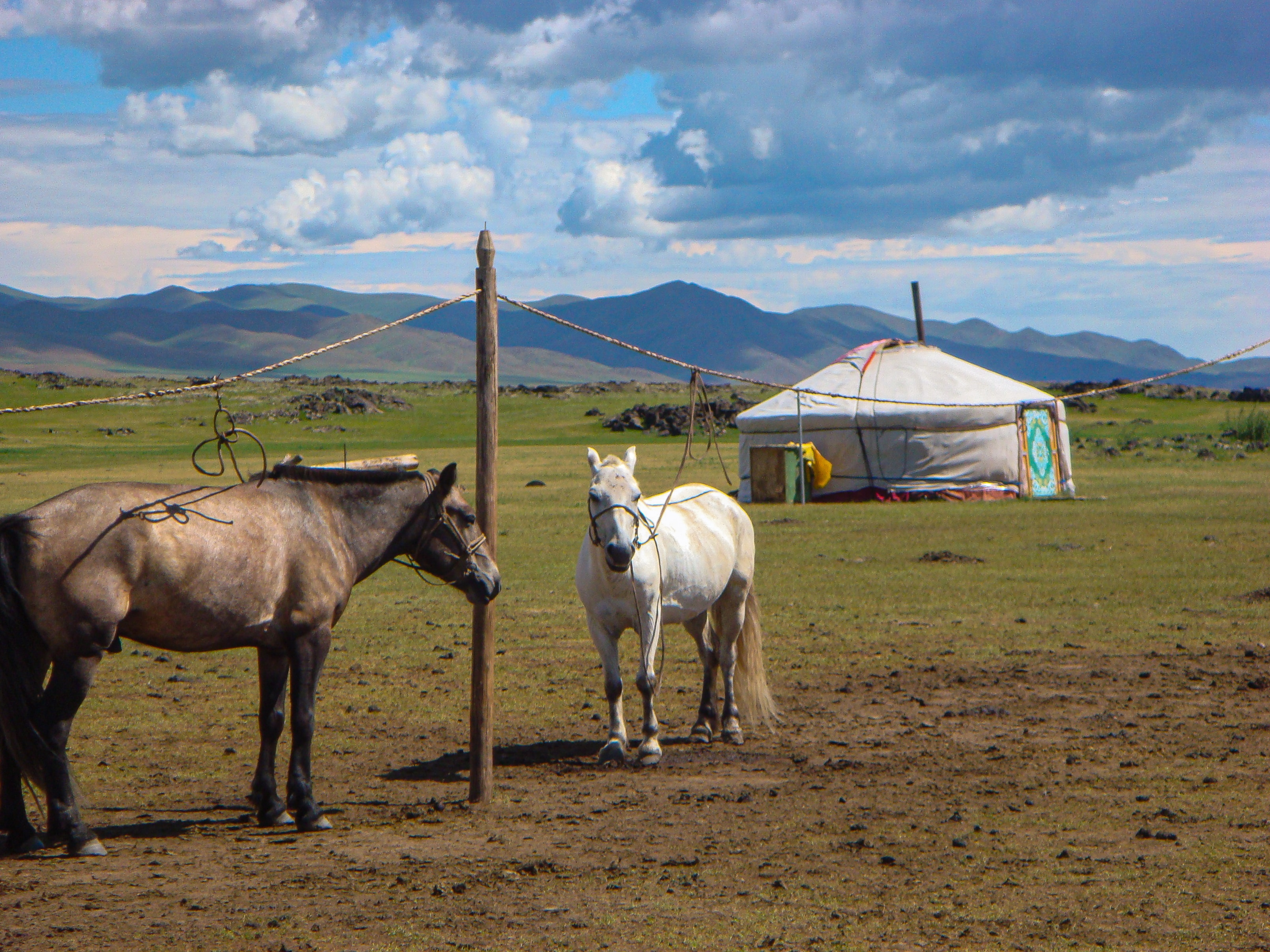 A picture of a hunter in Mongolia, embracing the rich culture and natural wonders