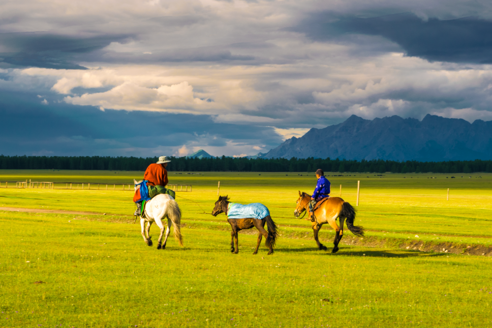 Horseback Riding on the Mongolian Steppe