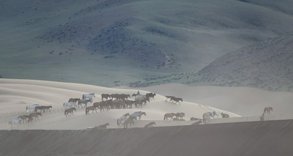 Visiting Mongolia