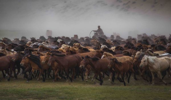 Mongolia Horse Racing
