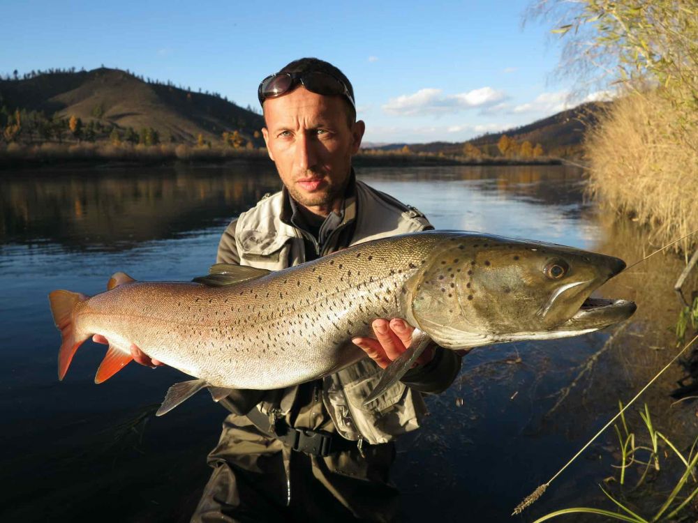 Taimen fishing in Mongolia