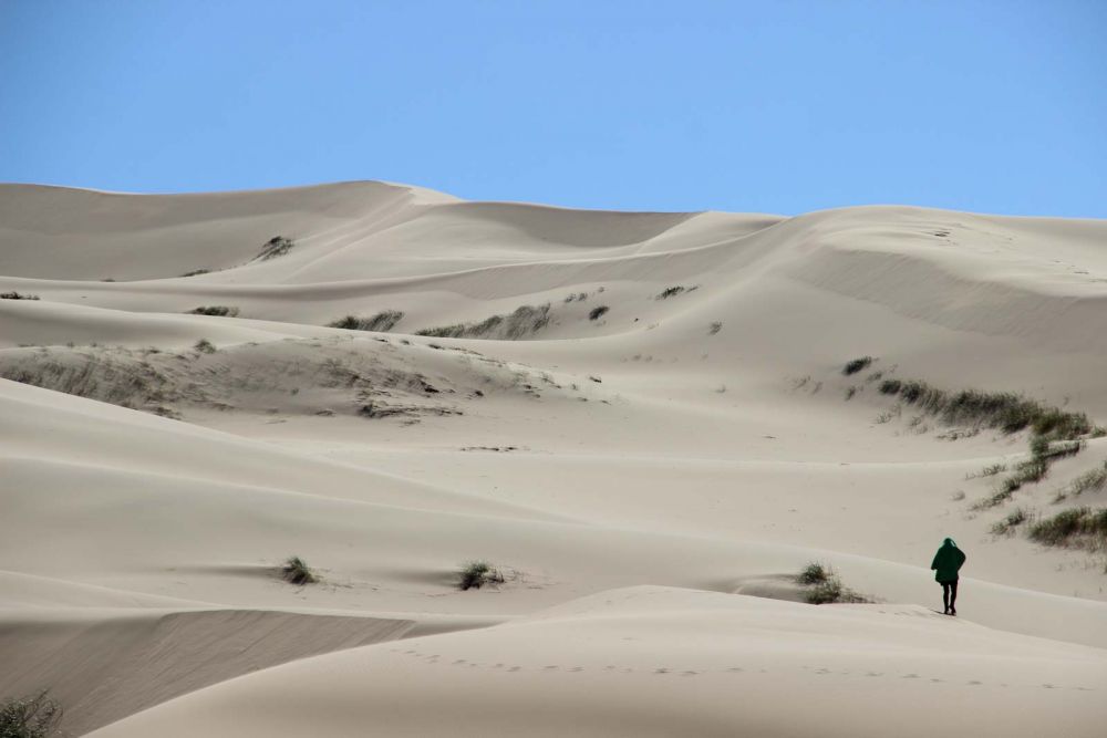 Khongoriin Sand Dunes