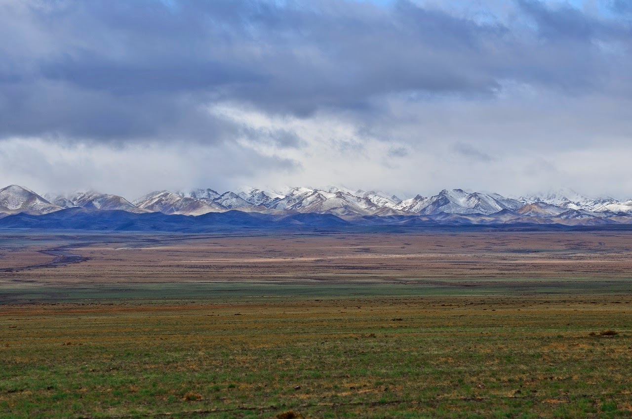 Gobi Gurvansaikhan