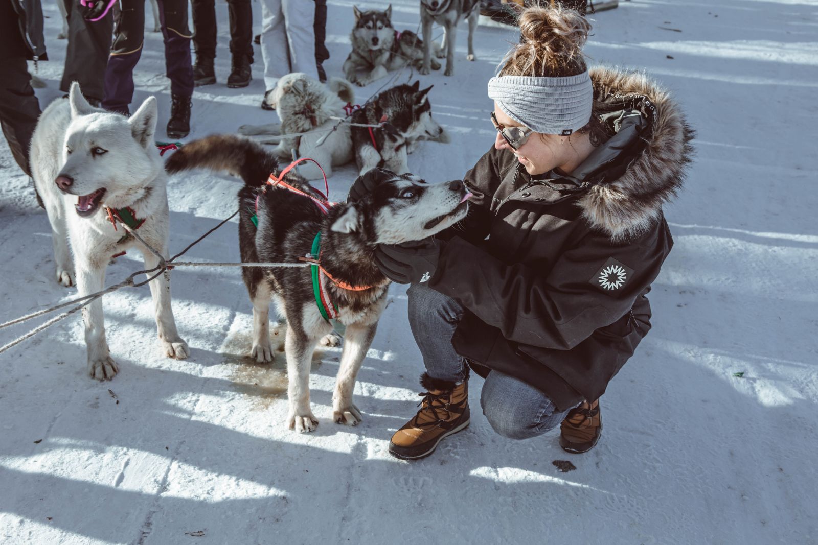 Husky Sledging in Terelj National Park