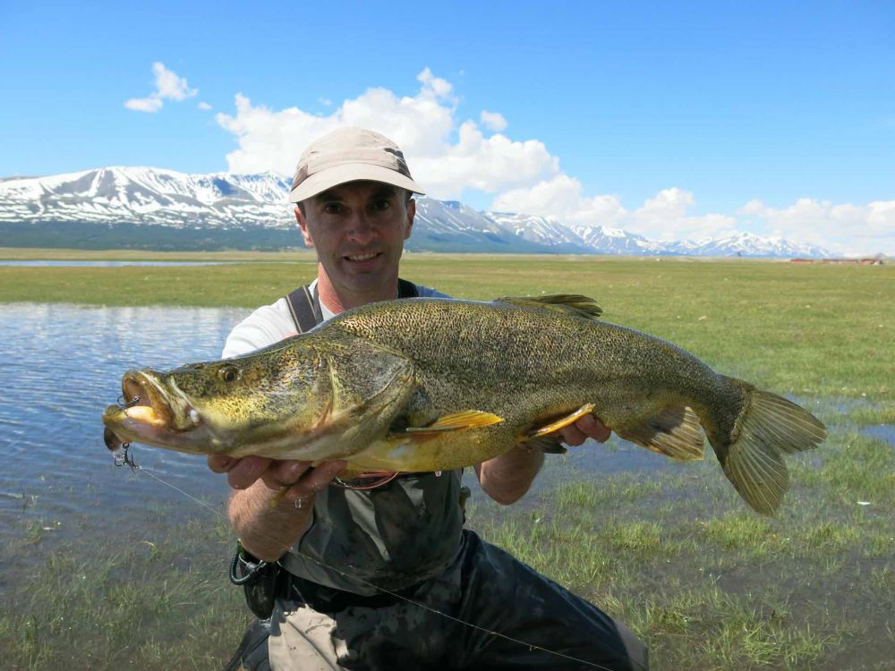 Altai Osman fishing in Mongolia