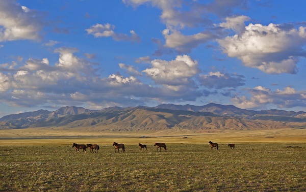 Khasagt Khairkhan berg in Gobi Altai