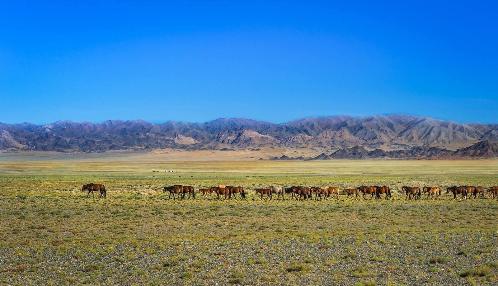 Khan Khukhii National Park