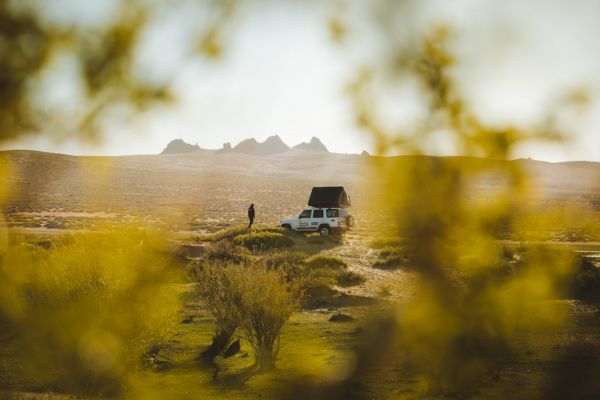 Wild Camping in Mongolia